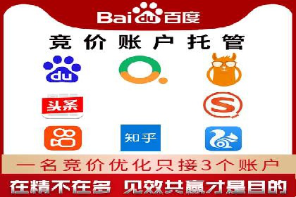 行业领先企业的SEM托管公司合作案例
